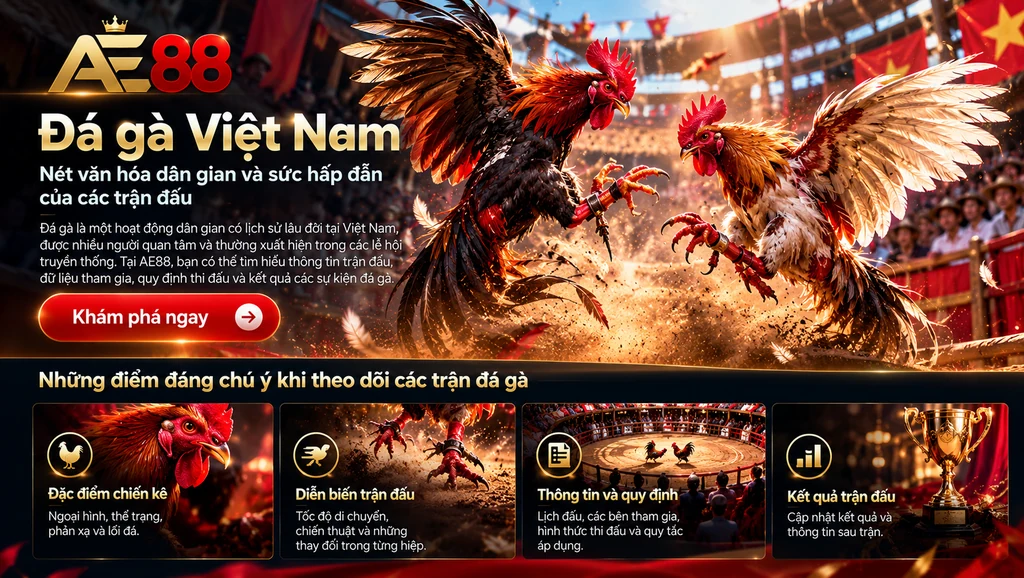 Infographic về đá gà Việt Nam, nét văn hóa dân gian, đặc điểm chiến kê và thông tin thi đấu